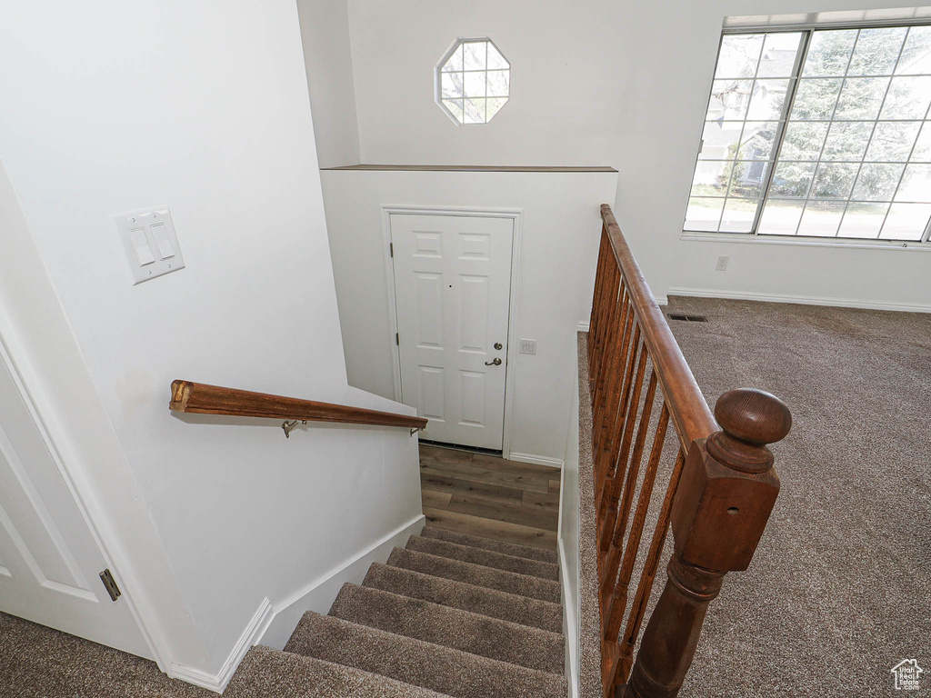 Stairs with visible vents, baseboards, and carpet