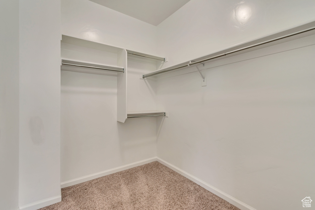 Spacious closet featuring carpet floors