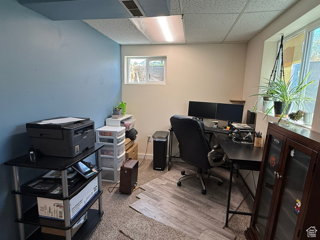 Carpeted home office featuring a healthy amount of sunlight, wood finished floors, and a paneled ceiling