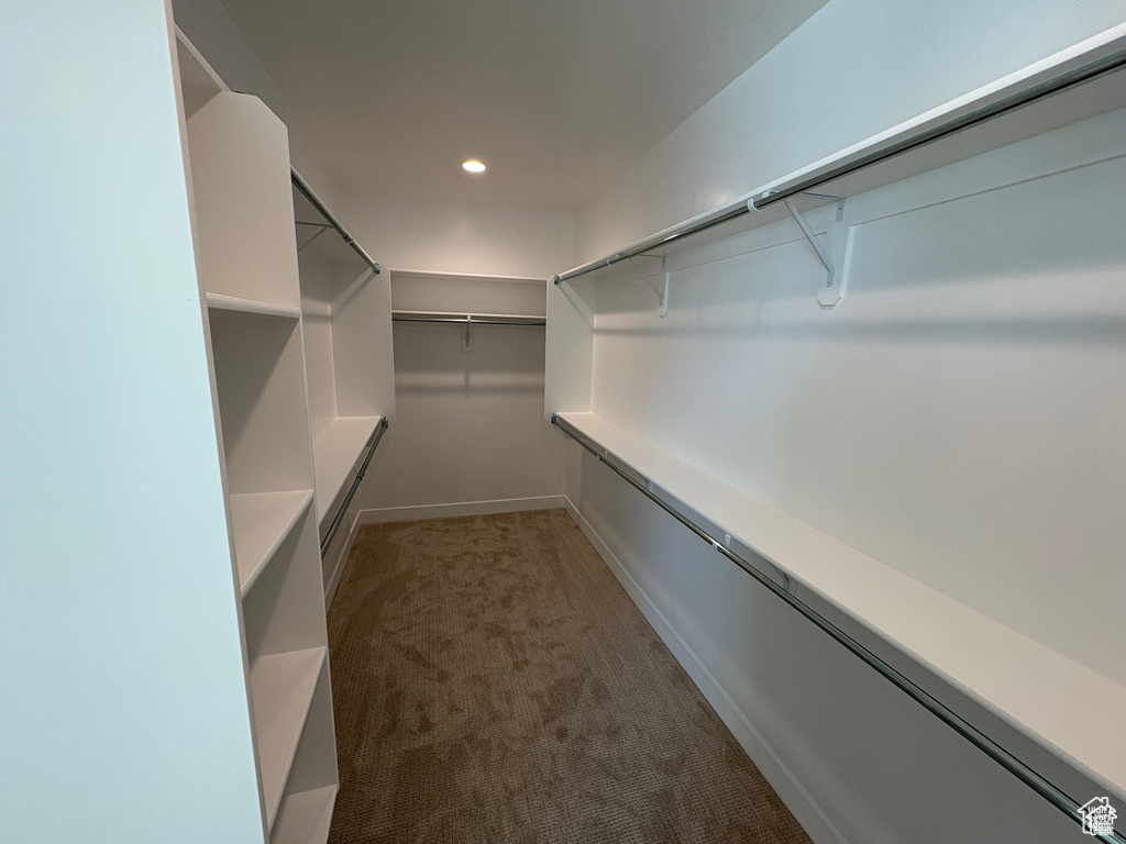 Walk in closet with carpet flooring