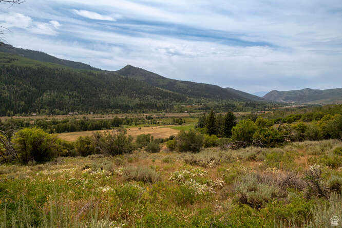 Mountain view