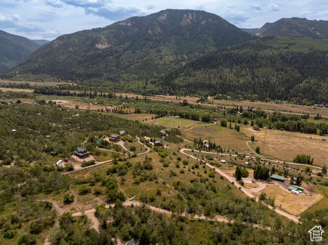 Drone / aerial view featuring a rural view and a mountain view