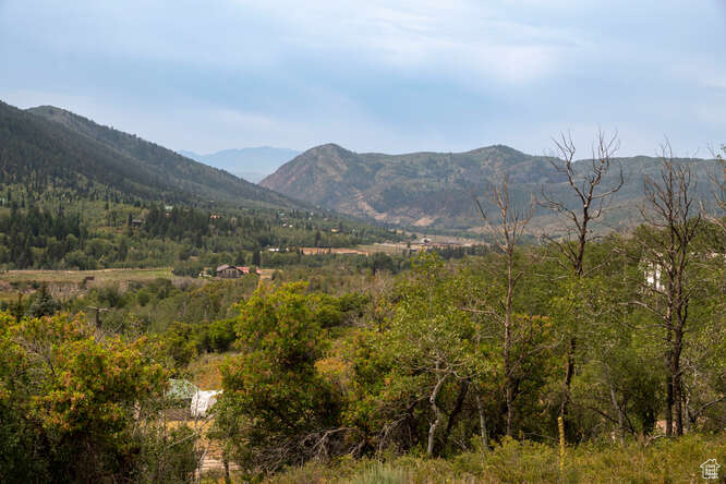 Property view of mountains