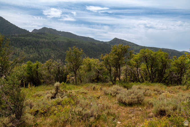 Property view of mountains with a view of trees