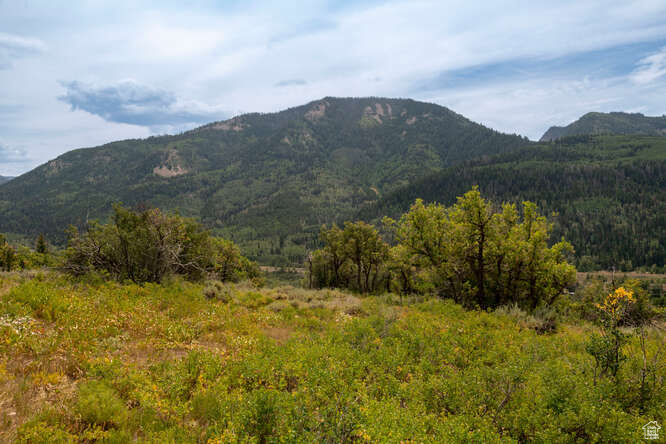 Property view of mountains with a wooded view