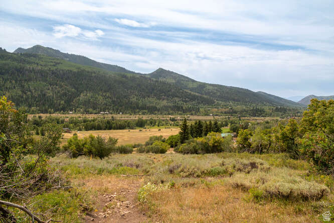 Mountain view