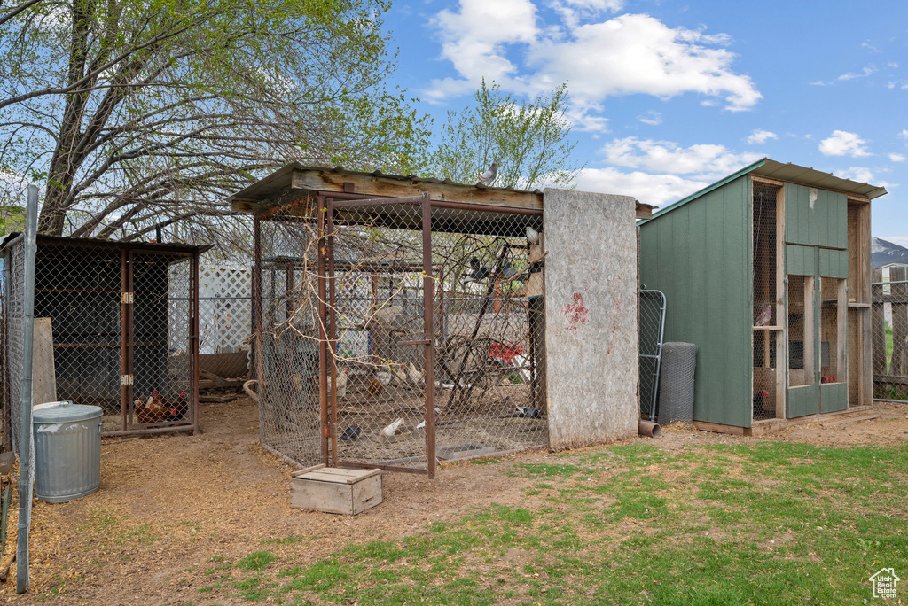 View of poultry coop