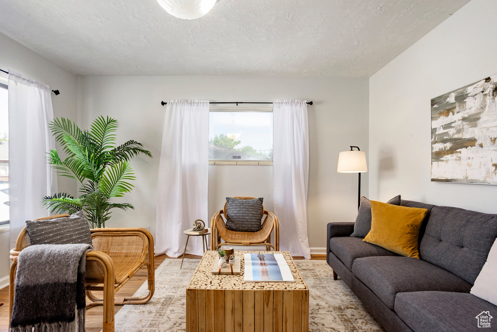 Living room featuring light wood-type flooring and a textured ceiling