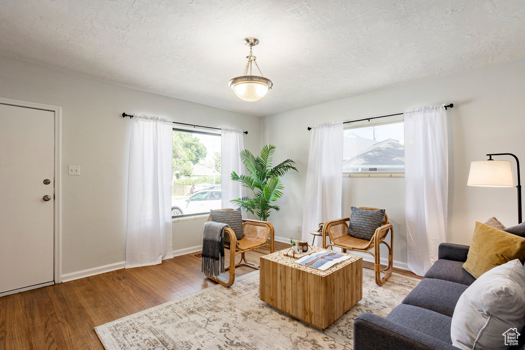 Living room featuring light wood-type flooring and a textured ceiling