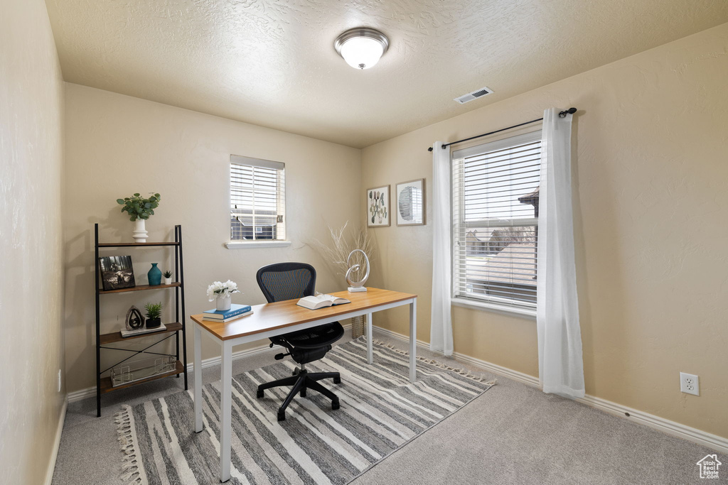 Carpeted office featuring baseboards, visible vents, and a textured ceiling