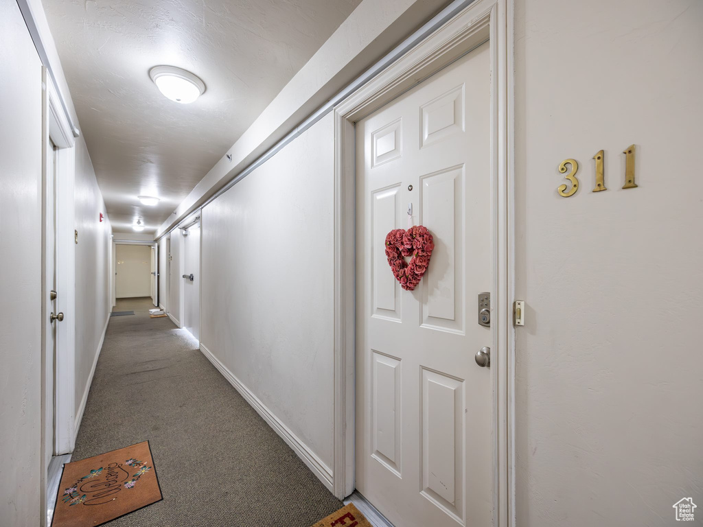 Hallway featuring carpet floors and baseboards