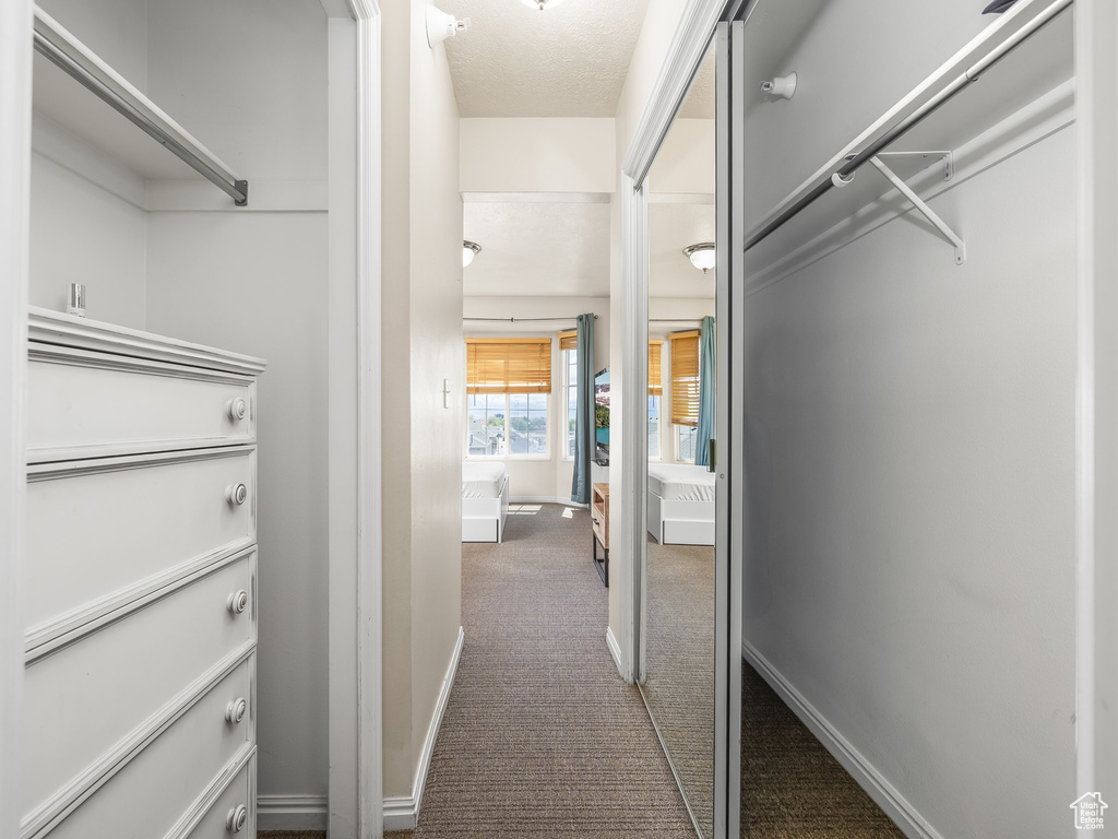 Spacious closet featuring carpet