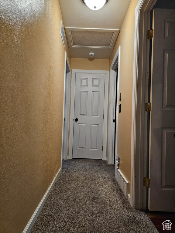 Hallway with carpet, baseboards, a textured wall, and attic access