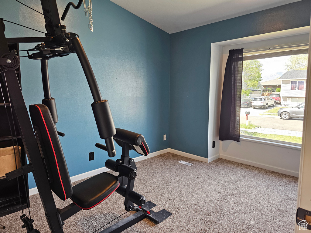 Workout room featuring visible vents, plenty of natural light, baseboards, and carpet floors