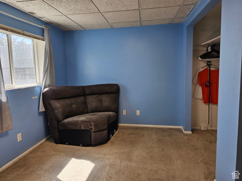 Living area with a drop ceiling, baseboards, and carpet floors