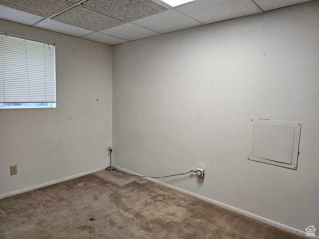 Laundry room with carpet and baseboards