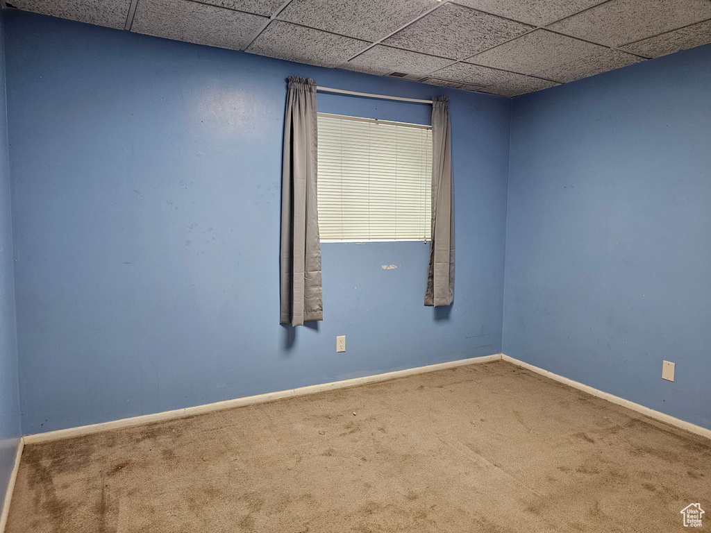 Unfurnished room featuring carpet floors, baseboards, and a paneled ceiling