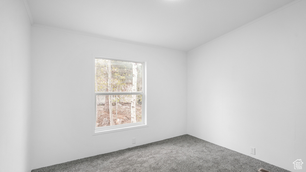 Unfurnished room with carpet, a healthy amount of sunlight, and crown molding