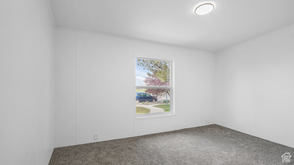 Carpeted empty room featuring crown molding