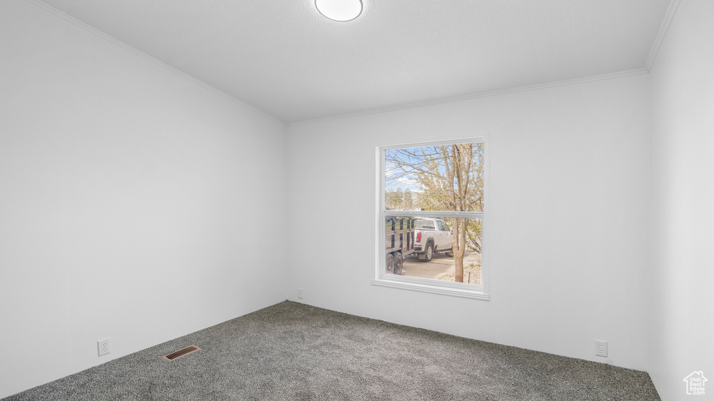 Empty room featuring visible vents, carpet floors, and crown molding