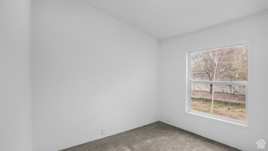 Empty room with a healthy amount of sunlight, crown molding, and carpet