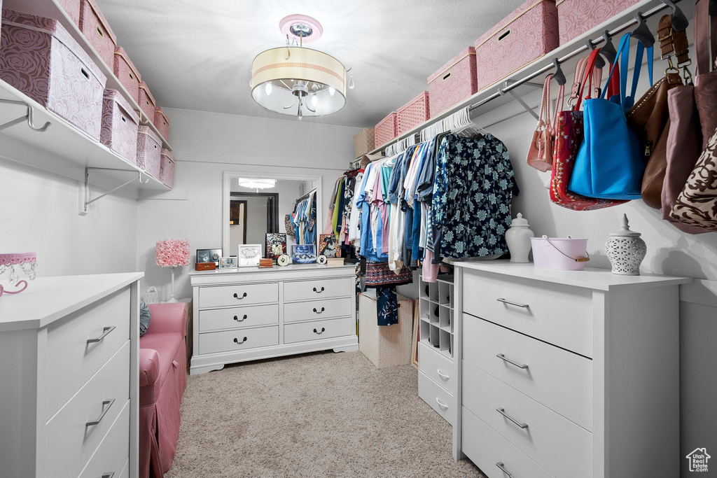 Spacious closet featuring light carpet