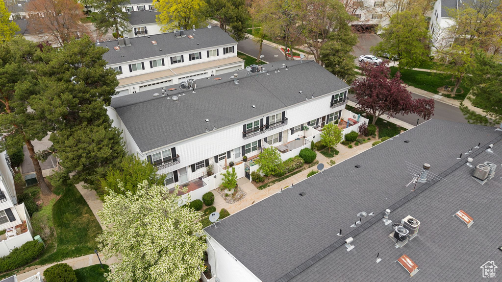 Bird\'s eye view