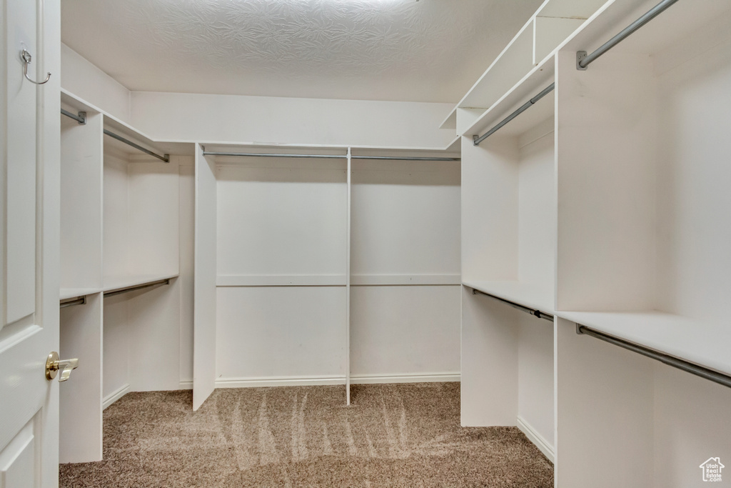 Walk in closet with carpet floors
