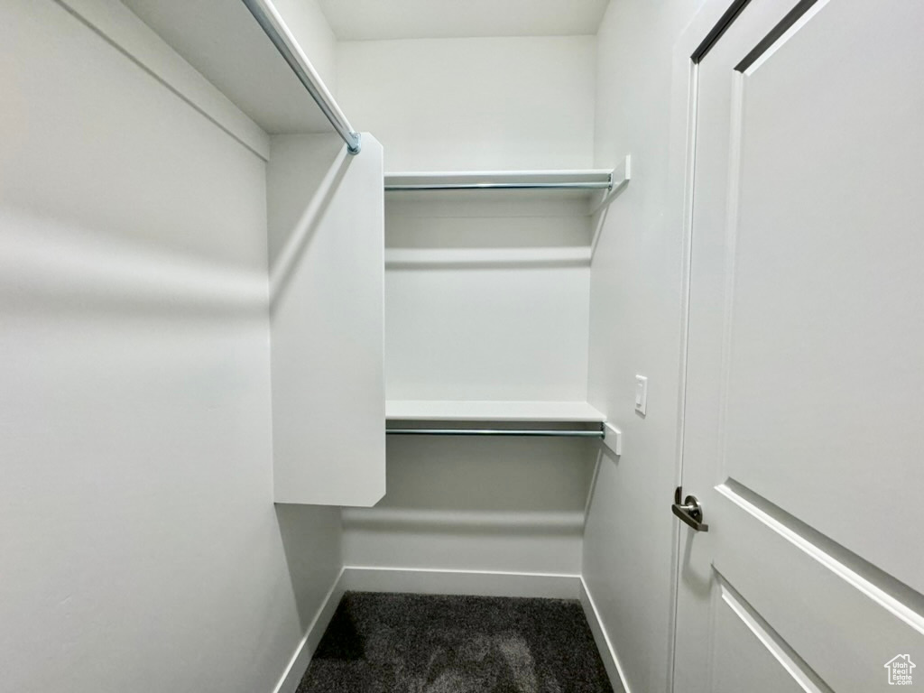 Spacious closet with dark colored carpet
