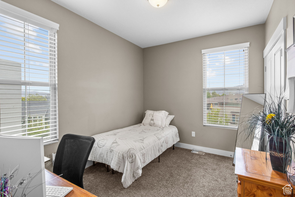 Carpeted bedroom with visible vents, baseboards, and multiple windows