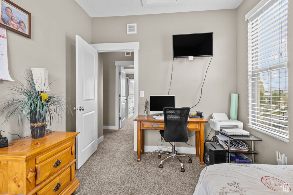 Office area featuring light colored carpet, a wealth of natural light, visible vents, and baseboards
