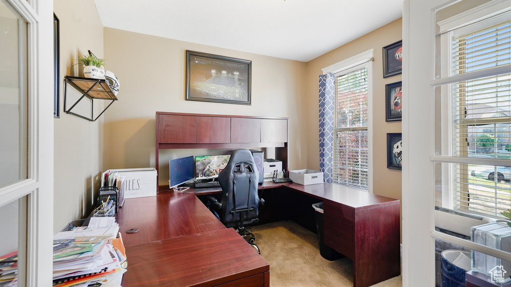 Office area featuring light carpet