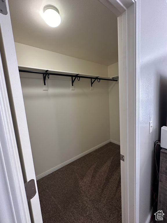 Spacious closet with carpet