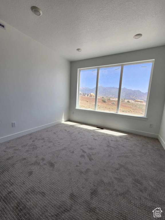 Unfurnished room with carpet and a textured ceiling