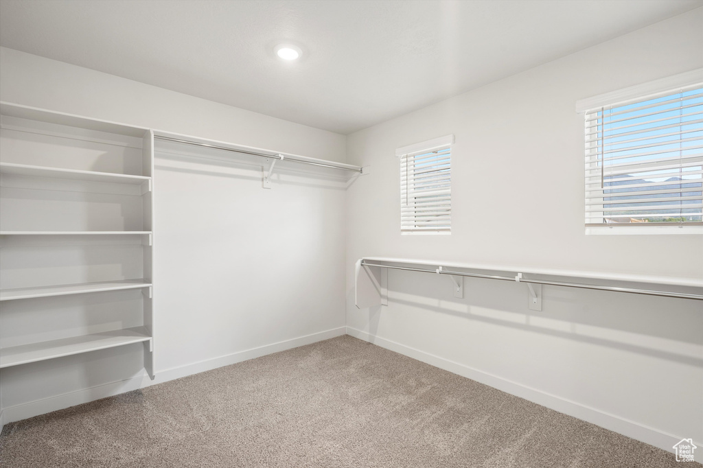 Walk in closet with carpet