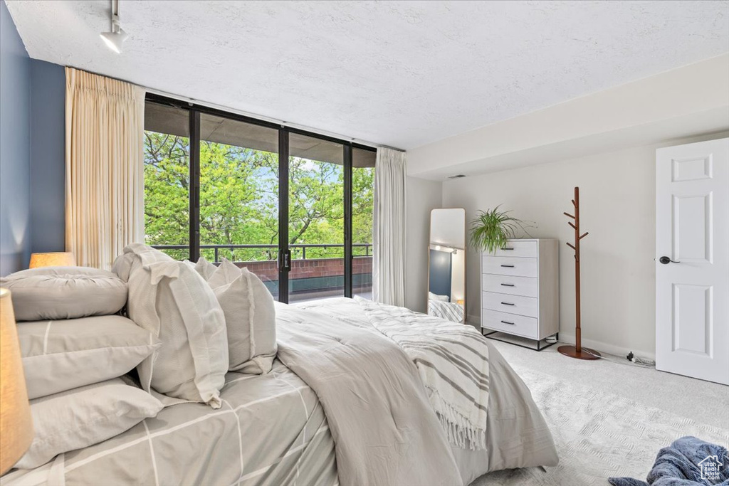 Carpeted bedroom featuring expansive windows, access to outside, a textured ceiling, and multiple windows