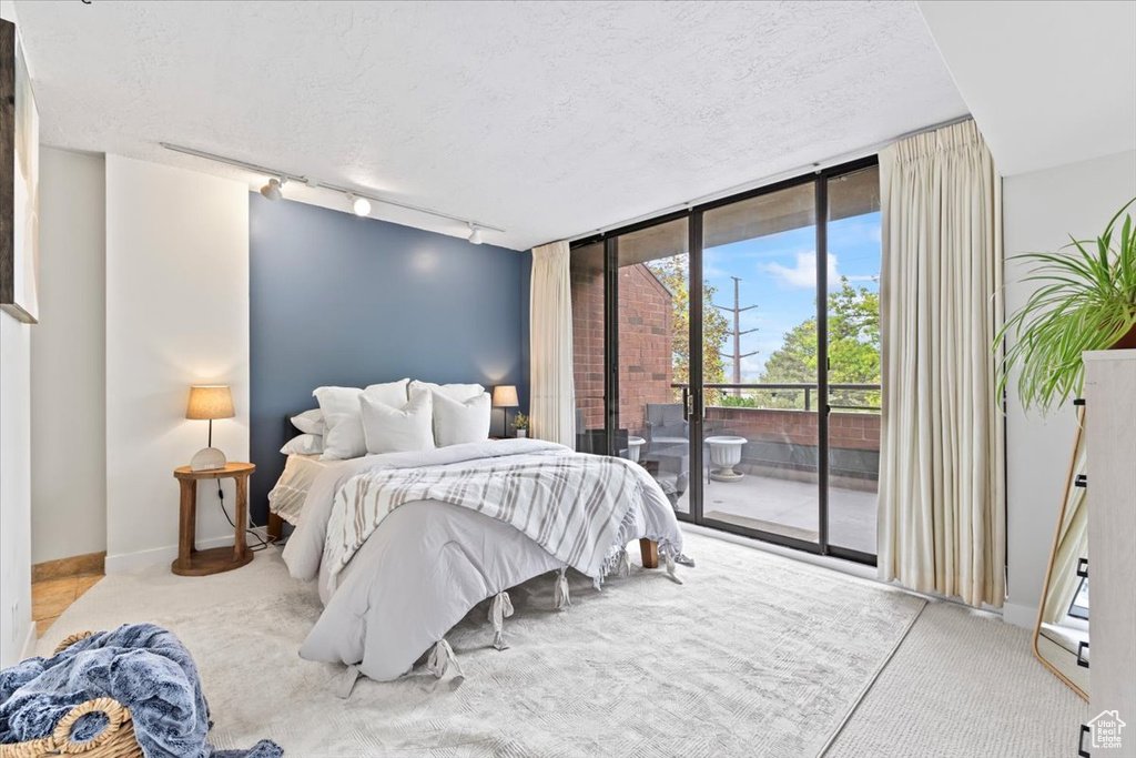 Carpeted bedroom with a textured ceiling, access to exterior, baseboards, expansive windows, and rail lighting