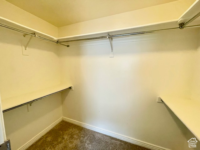 Walk in closet featuring dark colored carpet