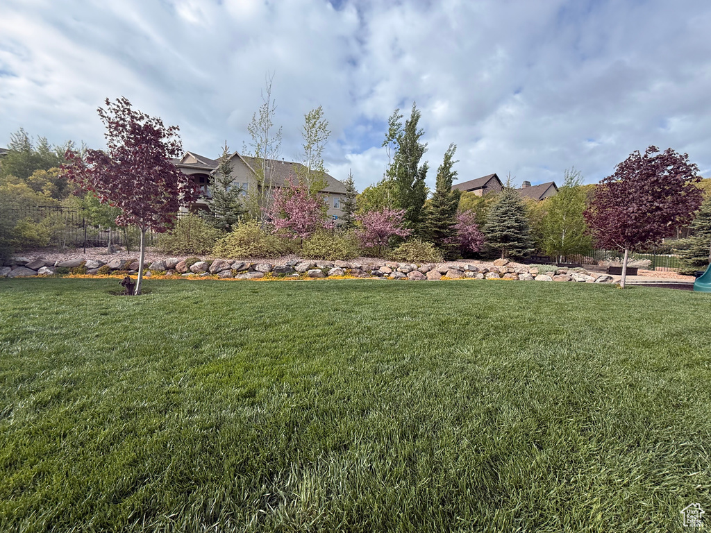 View of grassy yard