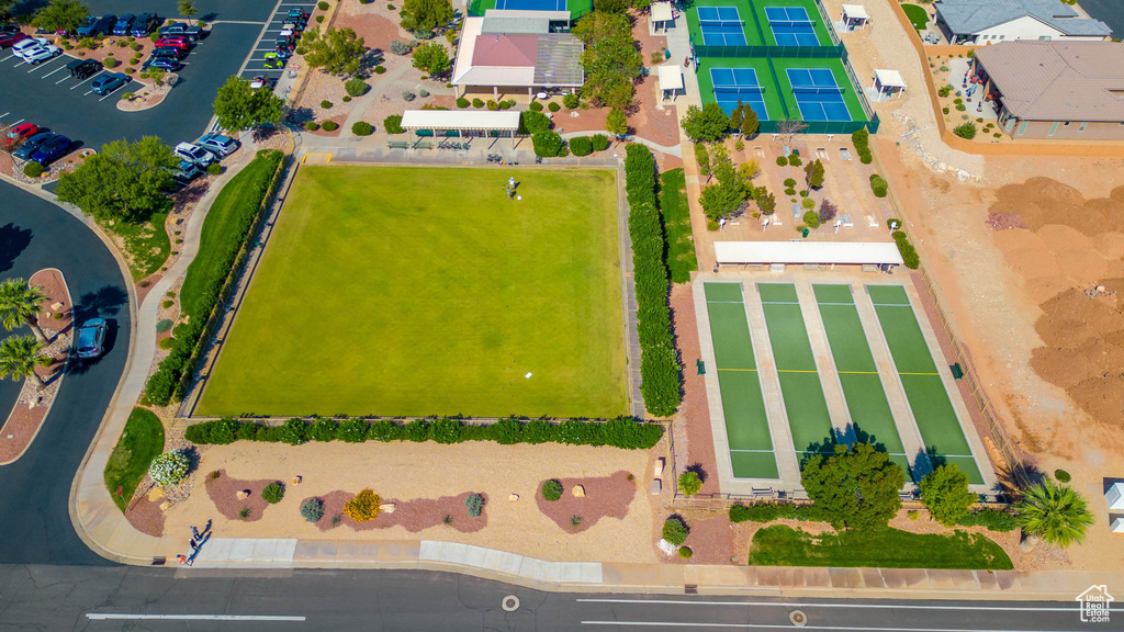 Bird\'s eye view