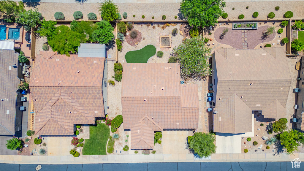 Bird\'s eye view