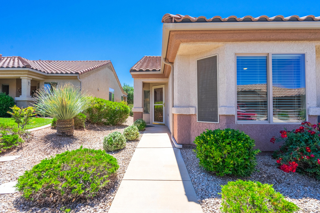 Doorway to property featuring a tiled roof and stucco siding
