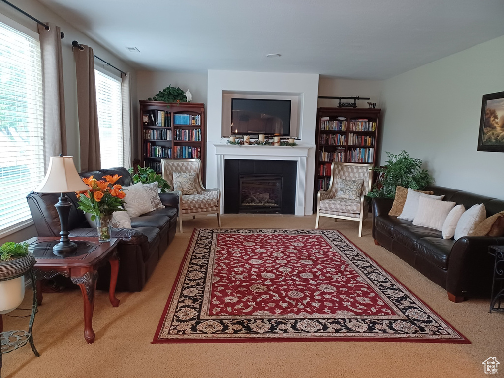 Living room with carpet flooring and a glass covered fireplace