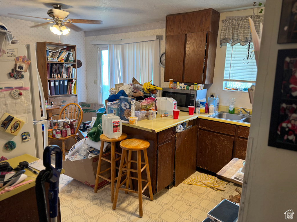 Kitchen with a sink, stainless steel microwave, plenty of natural light, freestanding refrigerator, and ceiling fan
