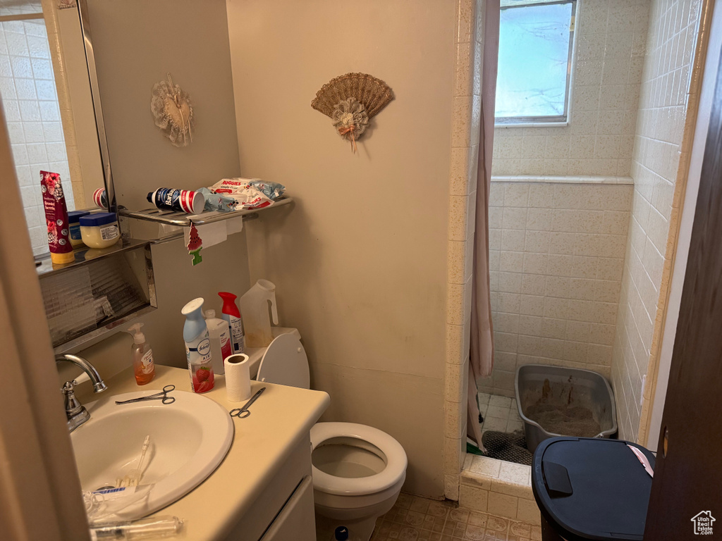 Full bathroom featuring a shower stall, toilet, and vanity