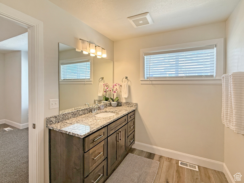 Bathroom with baseboards, wood finished floors, visible vents, and vanity