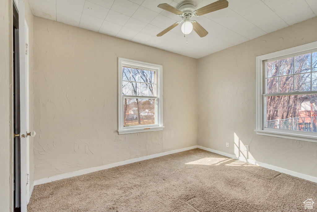 Carpeted empty room with baseboards, a ceiling fan, and a healthy amount of sunlight