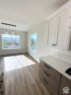 Unfurnished dining area with a textured ceiling, wood finished floors, and baseboards