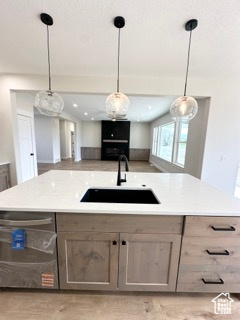 Kitchen featuring stainless steel dishwasher, a sink, decorative light fixtures, and open floor plan