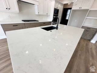 Kitchen featuring a sink, black stovetop, ventilation hood, wood finished floors, and a kitchen island with sink